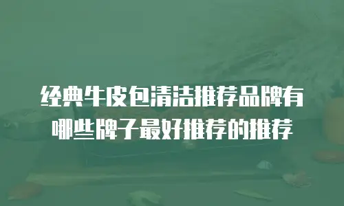 经典牛皮包清洁推荐品牌有哪些牌子最好推荐的推荐