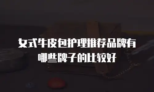 女式牛皮包护理推荐品牌有哪些牌子的比较好