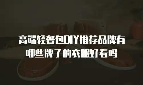 高端轻奢包DIY推荐品牌有哪些牌子的衣服好看吗