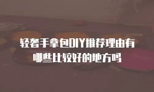 轻奢手拿包DIY推荐理由有哪些比较好的地方吗