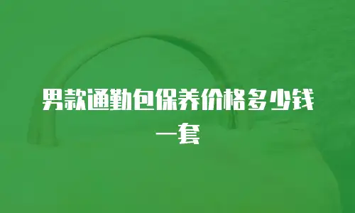 男款通勤包保养价格多少钱一套