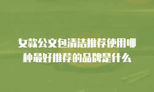 女款公文包清洁推荐使用哪种最好推荐的品牌是什么