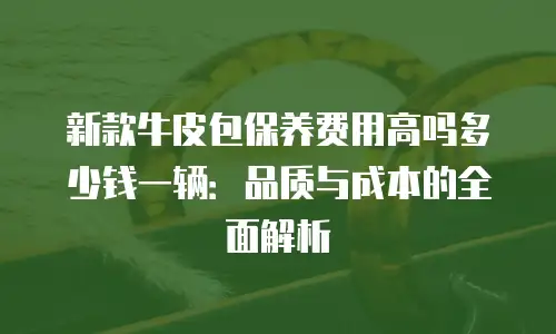 新款牛皮包保养费用高吗多少钱一辆：品质与成本的全面解析