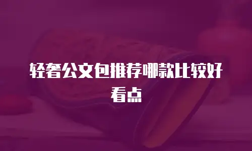 轻奢公文包推荐哪款比较好看点