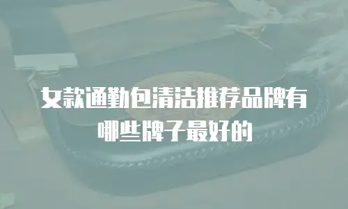 女款通勤包清洁推荐品牌有哪些牌子最好的