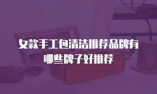 女款手工包清洁推荐品牌有哪些牌子好推荐