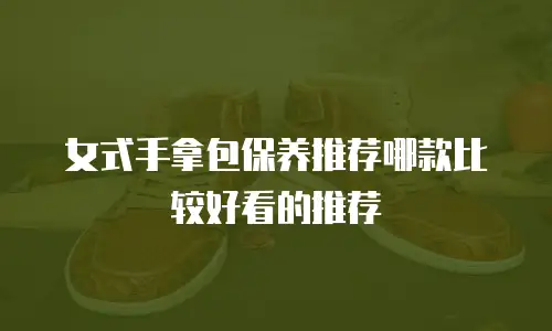 女式手拿包保养推荐哪款比较好看的推荐