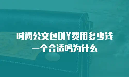时尚公文包DIY费用多少钱一个合适吗为什么