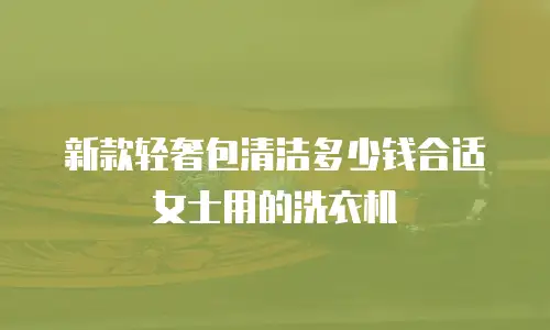 新款轻奢包清洁多少钱合适女士用的洗衣机