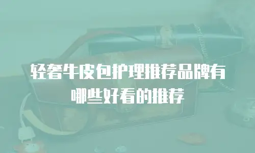 轻奢牛皮包护理推荐品牌有哪些好看的推荐