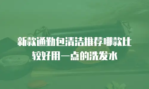 新款通勤包清洁推荐哪款比较好用一点的洗发水