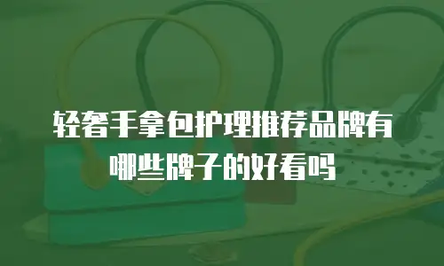 轻奢手拿包护理推荐品牌有哪些牌子的好看吗
