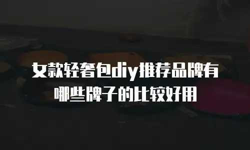女款轻奢包diy推荐品牌有哪些牌子的比较好用