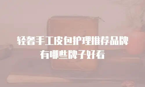 轻奢手工皮包护理推荐品牌有哪些牌子好看