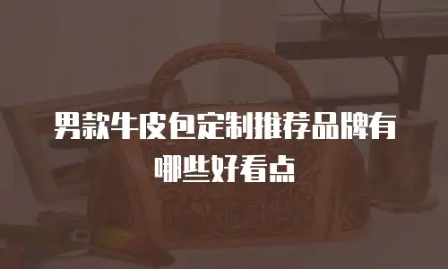 男款牛皮包定制推荐品牌有哪些好看点