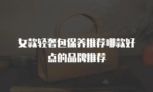 女款轻奢包保养推荐哪款好点的品牌推荐