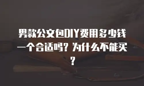 男款公文包DIY费用多少钱一个合适吗？为什么不能买？