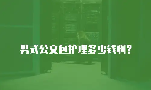 男式公文包护理多少钱啊？