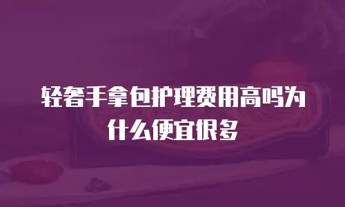 轻奢手拿包护理费用高吗为什么便宜很多