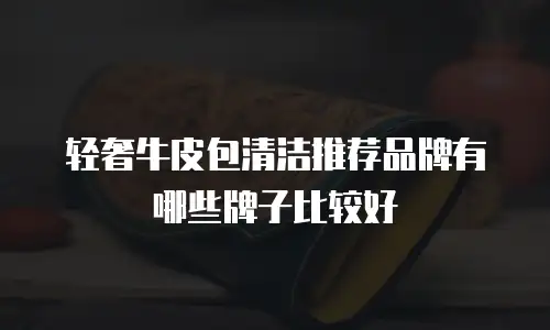 轻奢牛皮包清洁推荐品牌有哪些牌子比较好