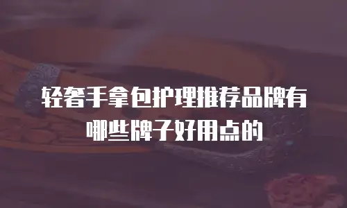 轻奢手拿包护理推荐品牌有哪些牌子好用点的