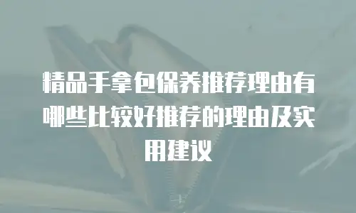精品手拿包保养推荐理由有哪些比较好推荐的理由及实用建议
