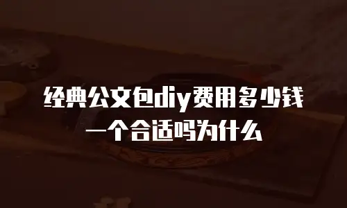 经典公文包diy费用多少钱一个合适吗为什么
