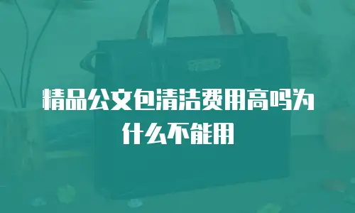 精品公文包清洁费用高吗为什么不能用