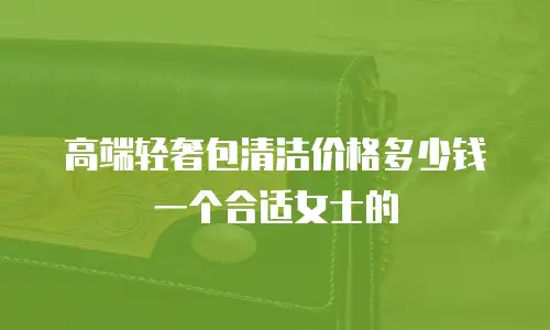 高端轻奢包清洁价格多少钱一个合适女士的