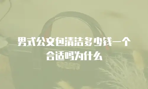 男式公文包清洁多少钱一个合适吗为什么