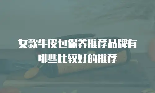 女款牛皮包保养推荐品牌有哪些比较好的推荐
