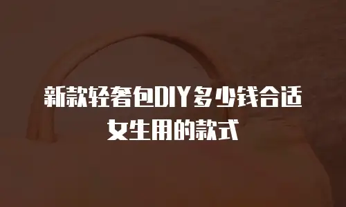 新款轻奢包DIY多少钱合适女生用的款式
