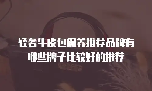 轻奢牛皮包保养推荐品牌有哪些牌子比较好的推荐