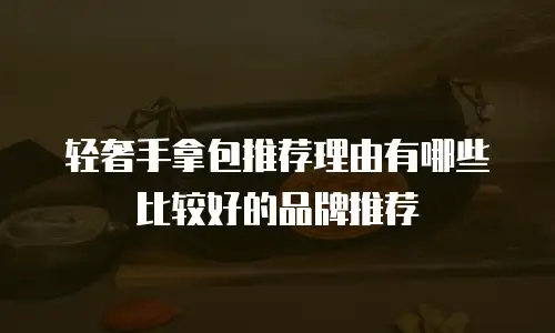 轻奢手拿包推荐理由有哪些比较好的品牌推荐