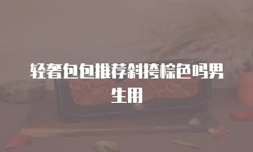 轻奢包包推荐斜挎棕色吗男生用