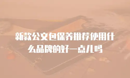 新款公文包保养推荐使用什么品牌的好一点儿吗