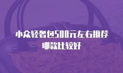小众轻奢包500元左右推荐哪款比较好