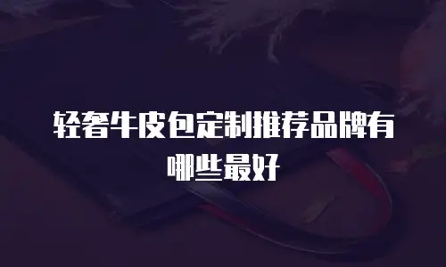 轻奢牛皮包定制推荐品牌有哪些最好