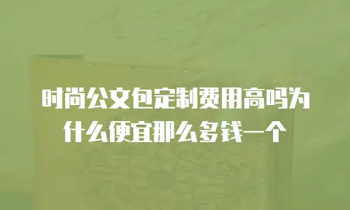 时尚公文包定制费用高吗为什么便宜那么多钱一个