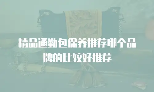 精品通勤包保养推荐哪个品牌的比较好推荐