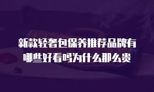 新款轻奢包保养推荐品牌有哪些好看吗为什么那么贵