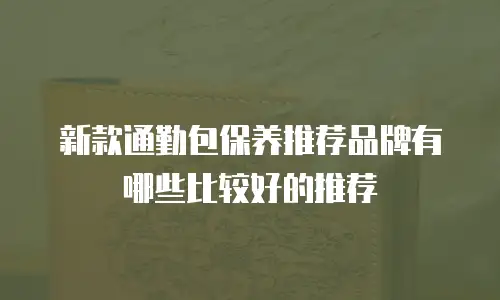 新款通勤包保养推荐品牌有哪些比较好的推荐