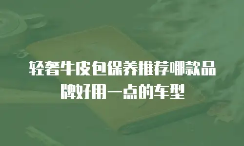 轻奢牛皮包保养推荐哪款品牌好用一点的车型