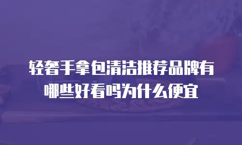 轻奢手拿包清洁推荐品牌有哪些好看吗为什么便宜