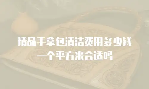 精品手拿包清洁费用多少钱一个平方米合适吗