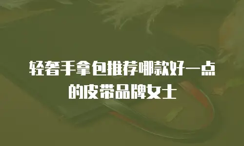 轻奢手拿包推荐哪款好一点的皮带品牌女士