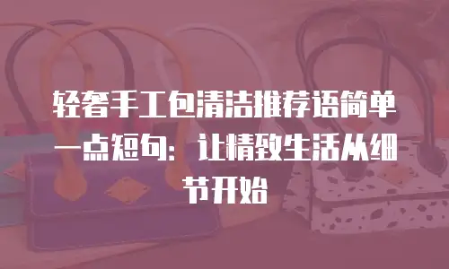 轻奢手工包清洁推荐语简单一点短句：让精致生活从细节开始