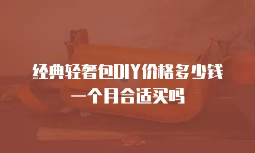 经典轻奢包DIY价格多少钱一个月合适买吗