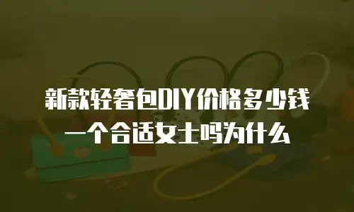 新款轻奢包DIY价格多少钱一个合适女士吗为什么