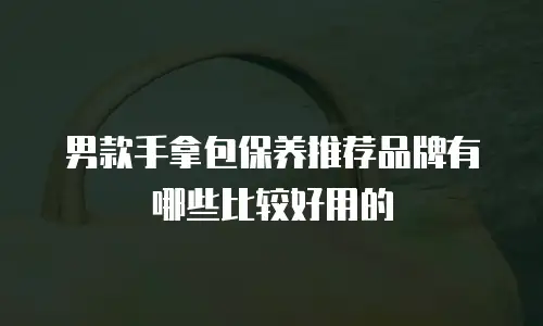 男款手拿包保养推荐品牌有哪些比较好用的